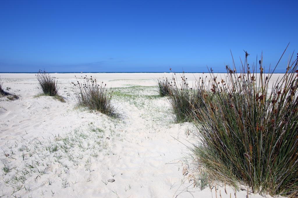 Blue Fin Tarifa Lejlighed Eksteriør billede